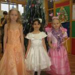 Новый год 2014