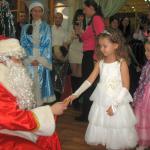 Новый год 2014